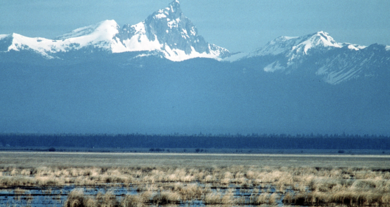Ringside: The Klamath Basin ‘Restoration’ is at What Cost?