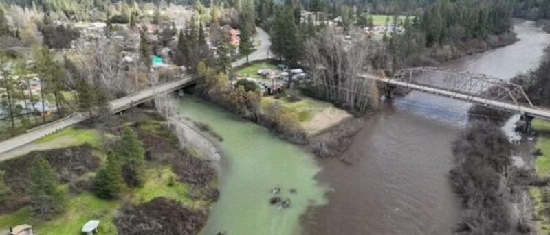 ‘The River Is Essentially Dead’: How Enviros’ Push To Save Salmon Ended Up Killing ‘Hundreds Of Thousands’ Of Them