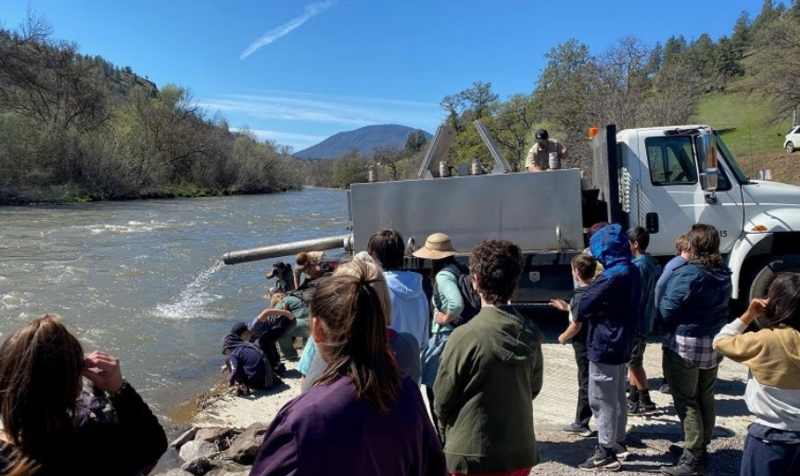 CDFW successfully releases salmon into Klamath River as Central Valley salmon near extinction