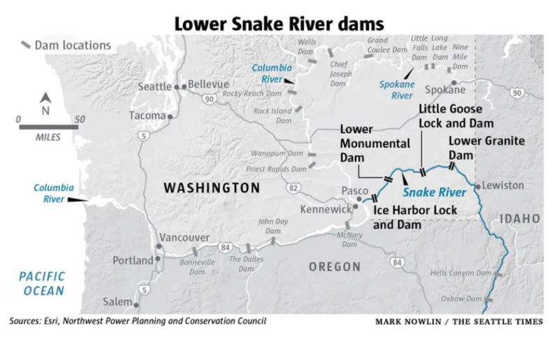 Will NW Fish Experts Turn The Columbia Basin Into The Next Klamath River Eco-Disaster Zone?