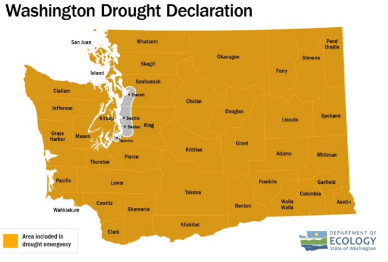 Dept. of Ecology declares drought emergency for most of Washington state