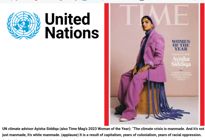 UN Climate Advisor & Time Mag’s ‘Women Of The Year’ declares ‘the climate crisis’ is ‘not just manmade, it’s white manmade’ – ‘A result of capitalism, years of colonialism, years of racial oppression’