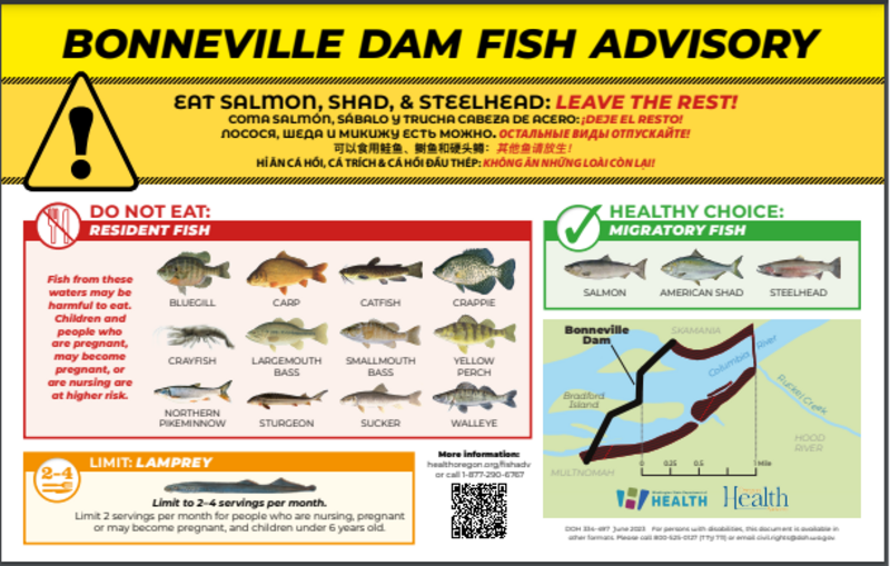 Fish consumption advisories
